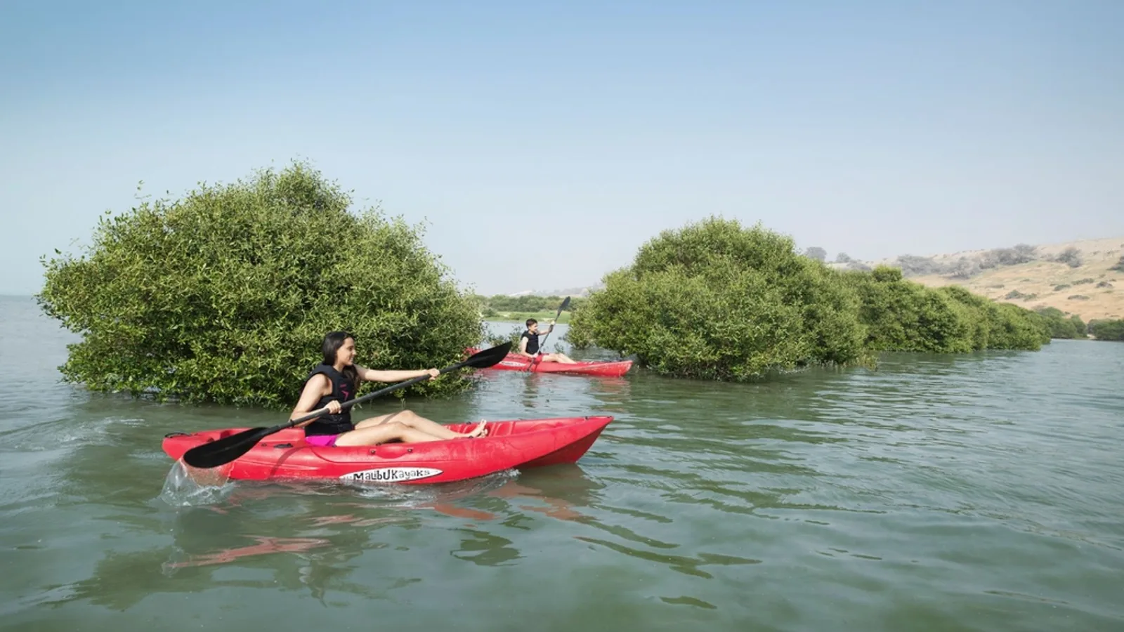 A woman in the foreground and a man behind paddle red sit-on-top kayaks through calm greenish water surrounded by green mangrove shrubs, with sandy hills in the distance under a clear blue sky.