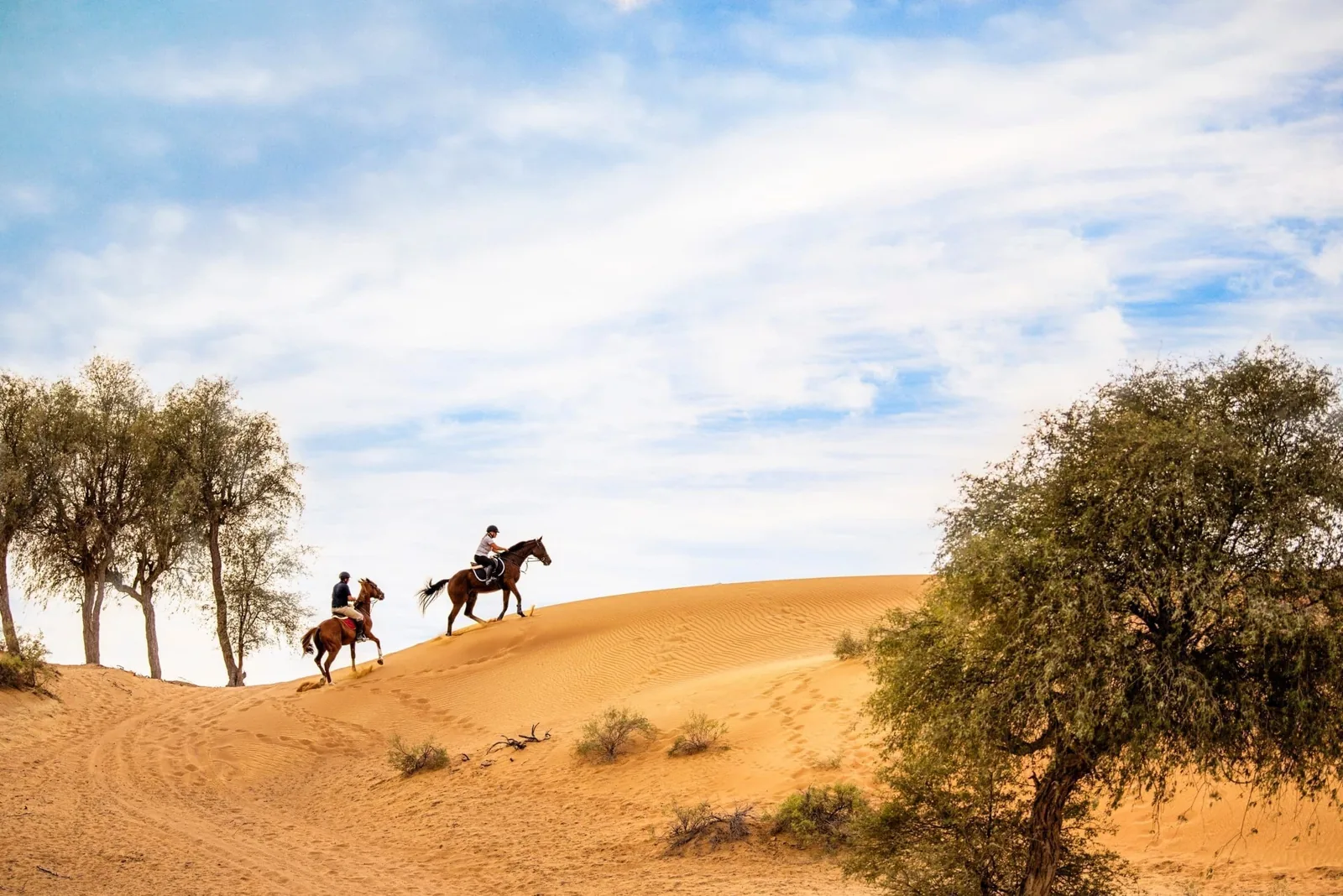 Two people wearing riding helmets ride brown horses up a golden sand dune, framed by green desert trees and a partly cloudy blue sky.