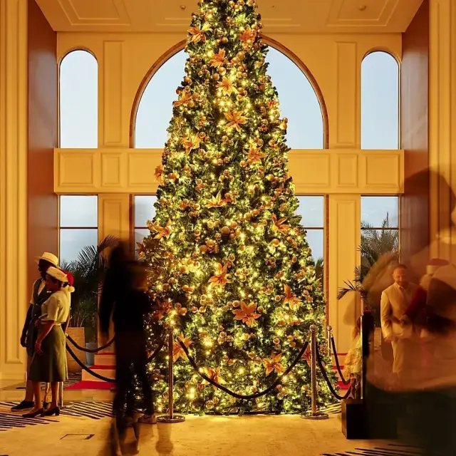 Christmas Tree Lighting at Sofitel Ras Al Khaimah